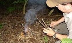 Bushcraft Basics or Foraging