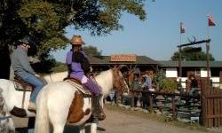 Western Adventure in Hampshire