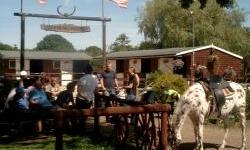 Western Riding in New Forest