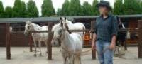 Cowboy Adventure for Kids Hampshire