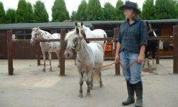 Cowboy Adventure for Kids Hampshire
