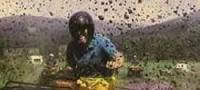 Quad Biking Experience Scotland