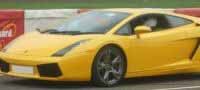 1500 Horsepower Experience 