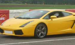 1500 Horsepower Experience