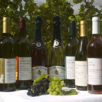 Wine Tours in Cambridgeshire