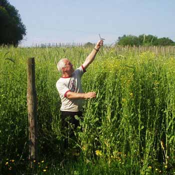 Organic Vineyard Tour