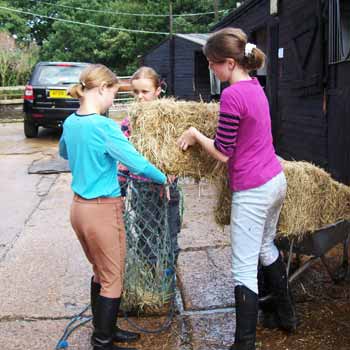 Shetland Pony Experience Surrey
