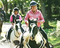 horse riding breaks Riding Breaks