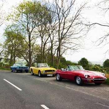 Classic Car Picnic Adventure