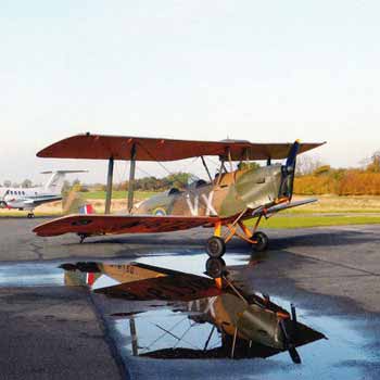 Tigermoth in Lincolnshire