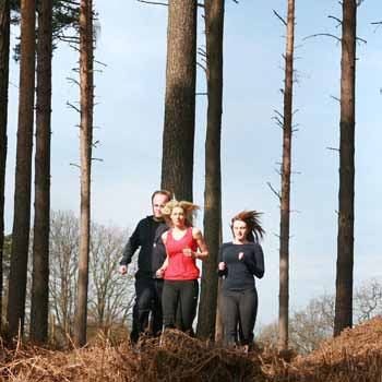 Taster Fitness Retreat Bucks