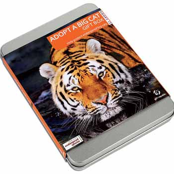 Adopt a Tiger or Big Cat