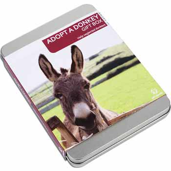 Adopting a Donkey