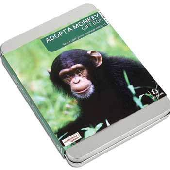 Adopt a Monkey Gift Tins