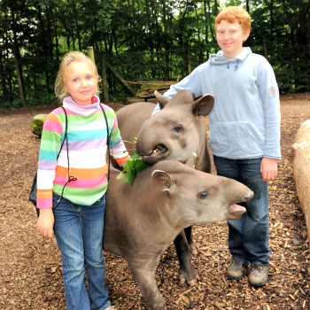 Junior Zoo Keeper