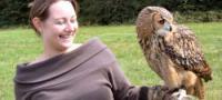 Falconry