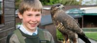 Falconry Centre Scotland