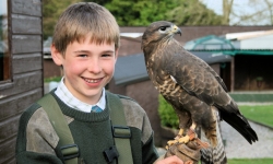 Falconry in Scotland