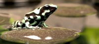 Photographic Macro Photography