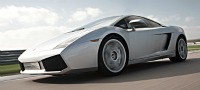 Gallardo Choice