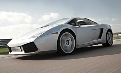 Gallardo Choice