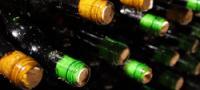 Premium Wine Tasting