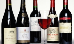 Premium Wine Tasting Activity Premium Wine Tasting Activity
