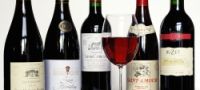 Premium Wine Tasting