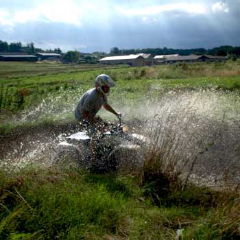 Quads in Dorset
