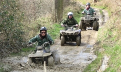 Quads in Surrey