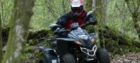 Quads in Sussex