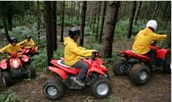 Quads in Kent