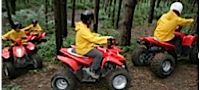 Quad Biking Experience Kent