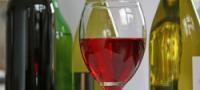 Quality Wine Tasting