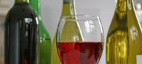 Quality Wine Tasting