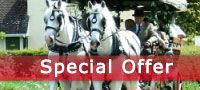 Horse Drawn Country Pub Run 