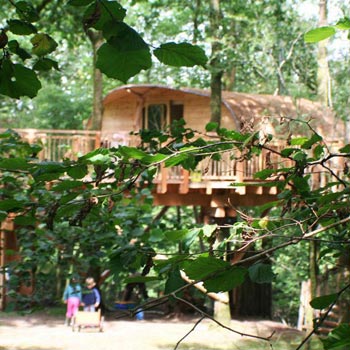 Luxury Tree House Break