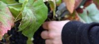 Wine Tours in Cambridgeshire