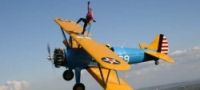 Wing Walking