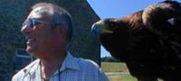 Bird of Prey Experience Yorkshire