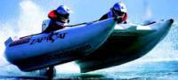 Zap Cat Experience in Sussex