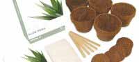 Grow Your Own Aloe Vera