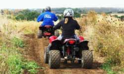 Quads Essex