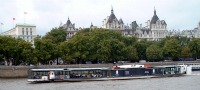 Elite Lunch Cruise