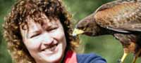 Hawk Walk Leics