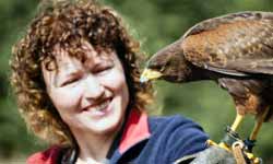 Hawk Walk Leics