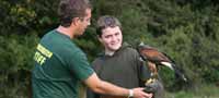 Falconry Taster East Sussex