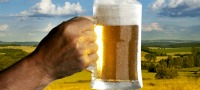 Brew a Beer Day