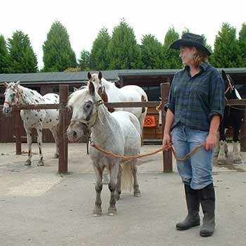 Introduction to Riding in Hampshire