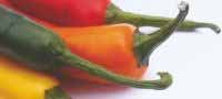 Grow Your Own Chilli Plants